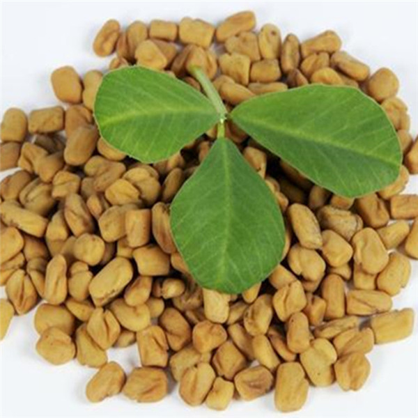 葫蘆巴濃縮粉 植物提取物 葫蘆巴粉 生產廠家_植物提取物_提取物_食品