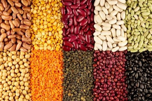 攝取植物鈣,是目前最健康有效的補(bǔ)鈣方式