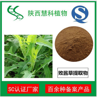 敗醬草提取物10:1 清熱解毒 現貨 品質保證 包郵