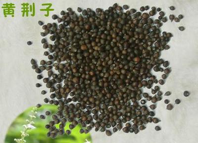 黃荊子提取物_中國(guó)蘭州_蘭州沃特萊斯生物科技_植物提取物-