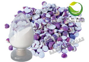 供應積雪草總苷,純天然植物提取物,優質產品,醫藥原料