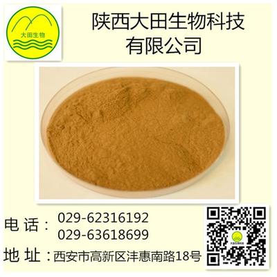 供應野菊花提取物 植物提取物