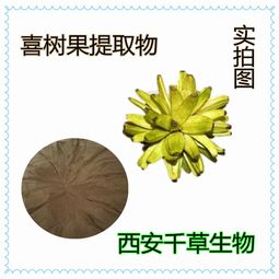 黃芪全水溶濃縮粉在保健食品中的應(yīng)用與市場(chǎng)報(bào)價(jià)分析