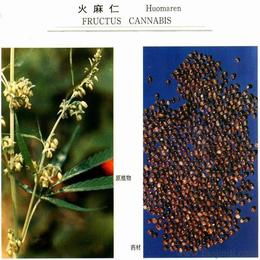 如何尋找可靠的植物提取物批發貨源與供應商